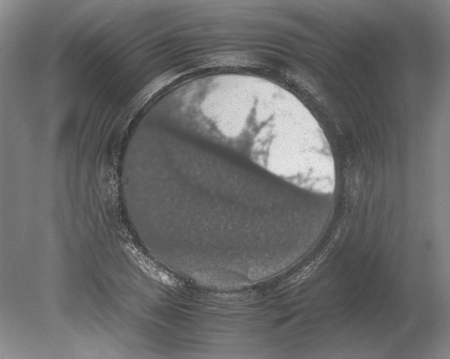 X0000080731025200701021114