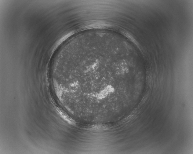 X0000080731026200701021114