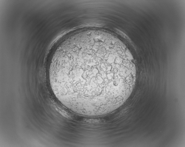 X0000080731027200701021114