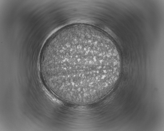 X0000080731028200701021114