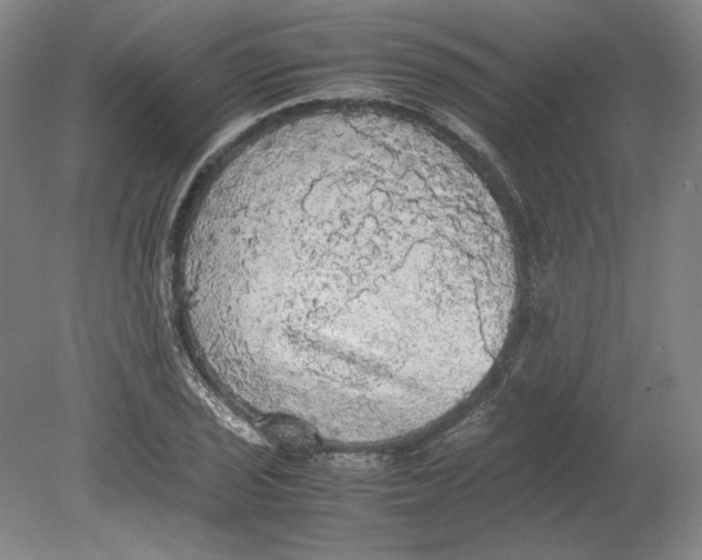 X0000080731029200701021115