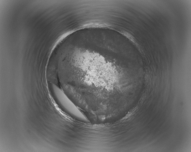 X0000080731030200701021115