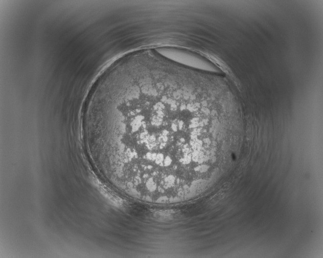 X0000080731031200701021115