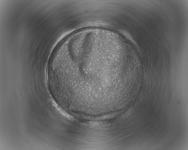 X0000080731032200701021115