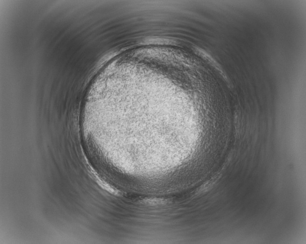 X0000080731033200701021115