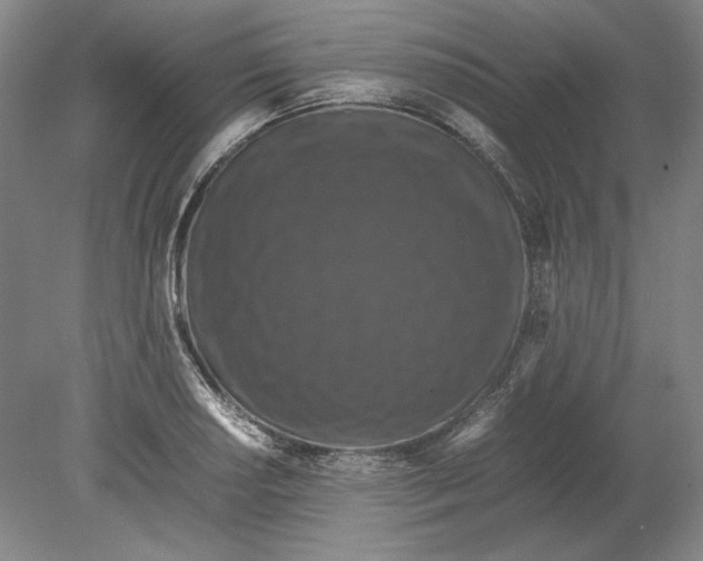 X0000080731034200701021115