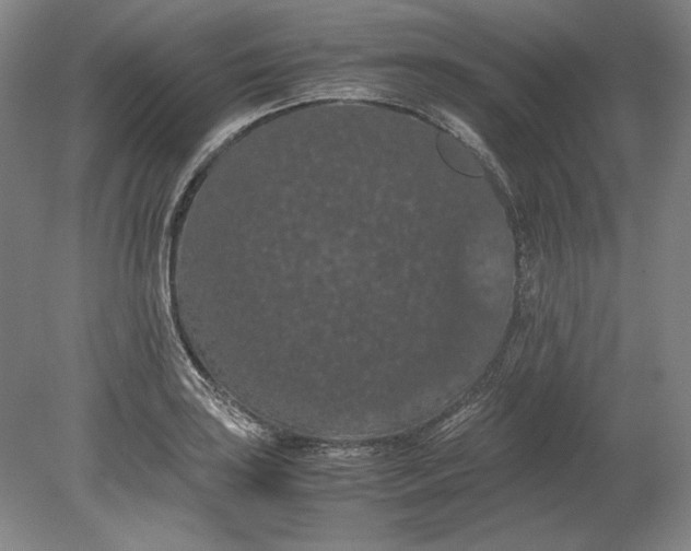 X0000080731035200701021115