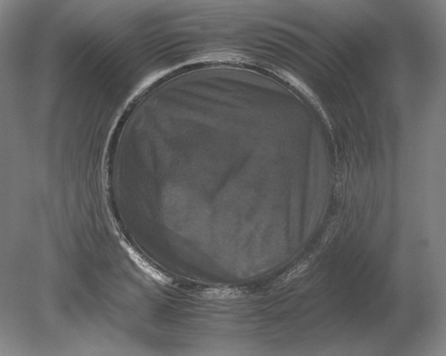 X0000080731037200701021115