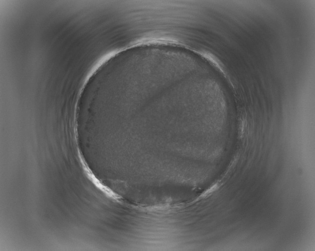 X0000080731038200701021115