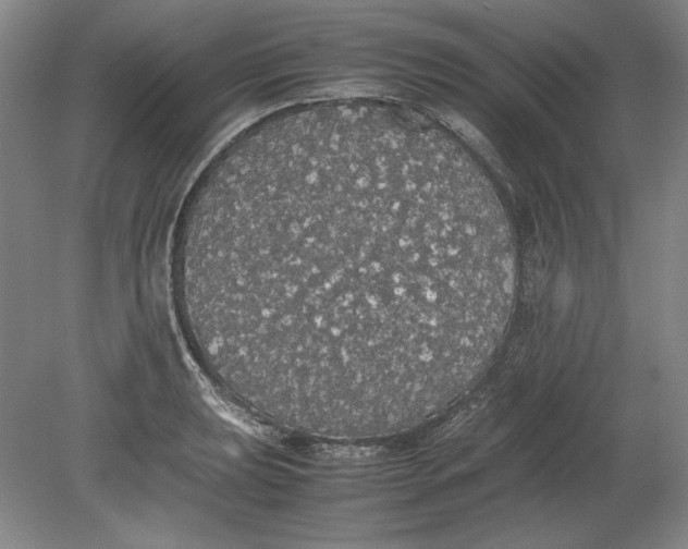 X0000080731039200701021115