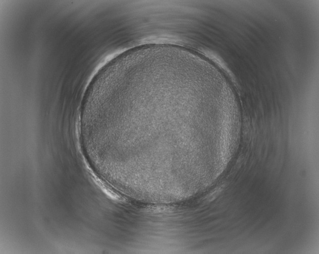 X0000080731040200701021115