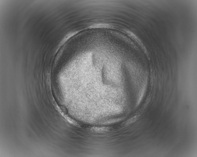 X0000080731041200701021115