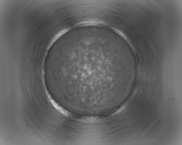 X0000080731042200701021115