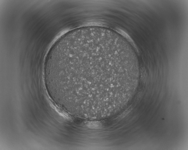 X0000080731043200701021115