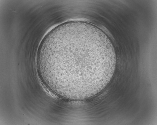 X0000080731044200701021115