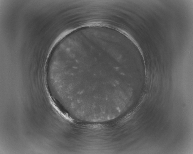 X0000080731045200701021115