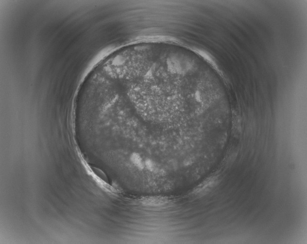 X0000080731046200701021115