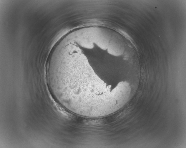 X0000080731047200701021115