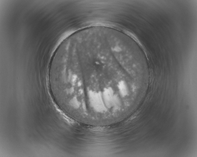 X0000080731048200701021115