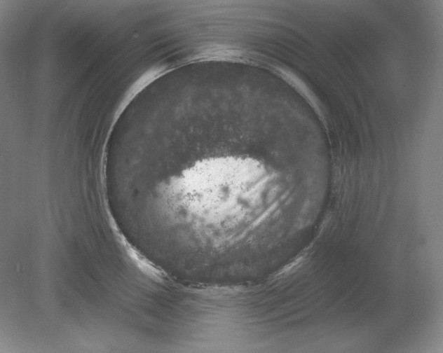 X0000080731050200701021115