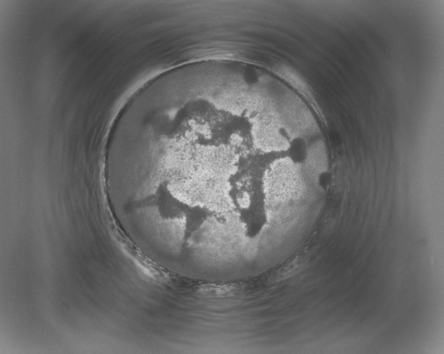 X0000080731051200701021115