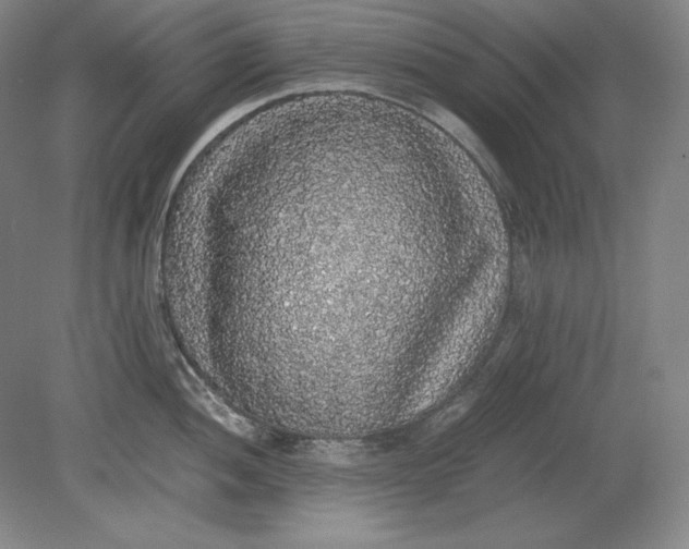 X0000080731052200701021115