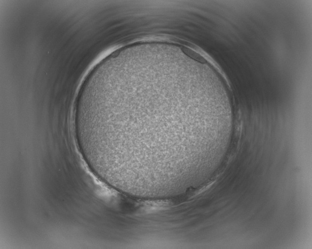 X0000080731053200701021115