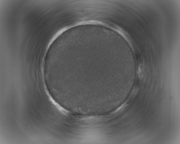 X0000080731054200701021115