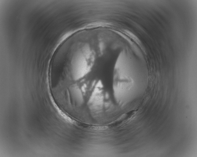 X0000080731055200701021115