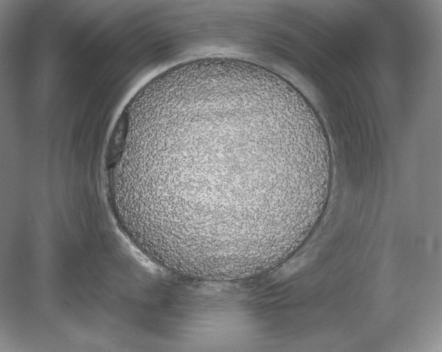 X0000080731056200701021115