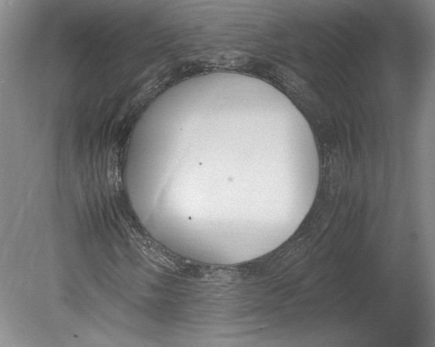 X0000080731058200701021114