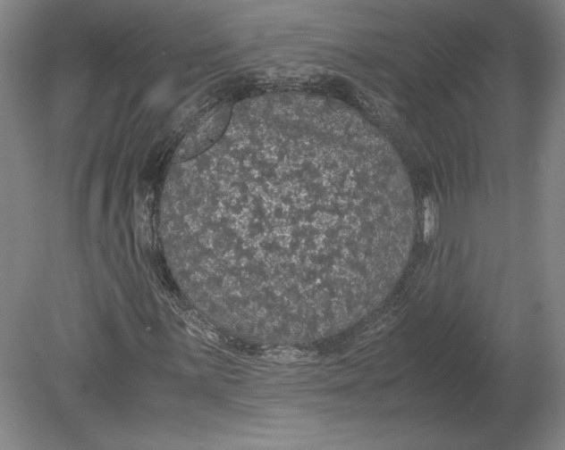 X0000080731059200701021114