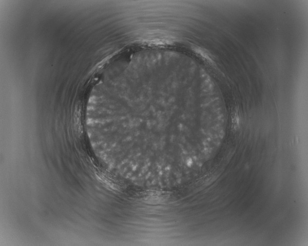 X0000080731060200701021114