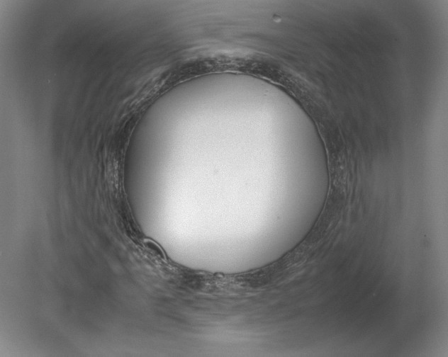 X0000080731061200701021114