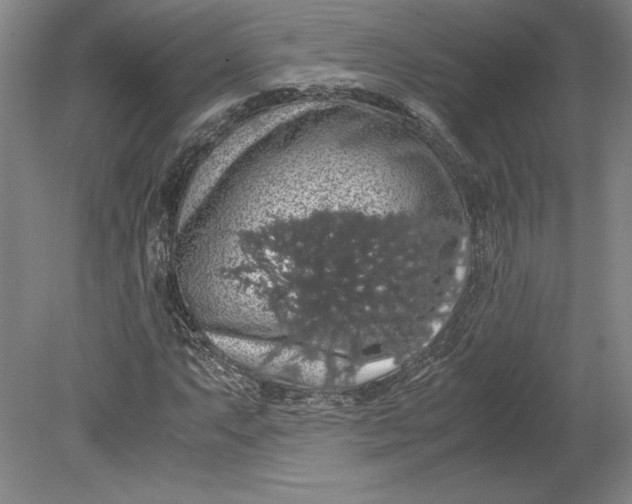 X0000080731063200701021114