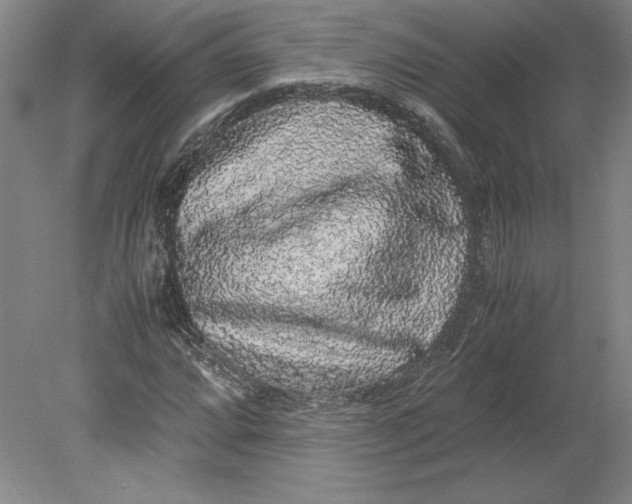 X0000080731064200701021114