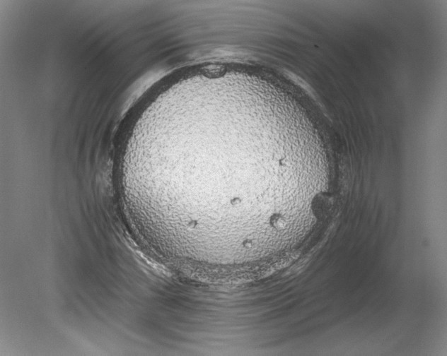 X0000080731066200701021114