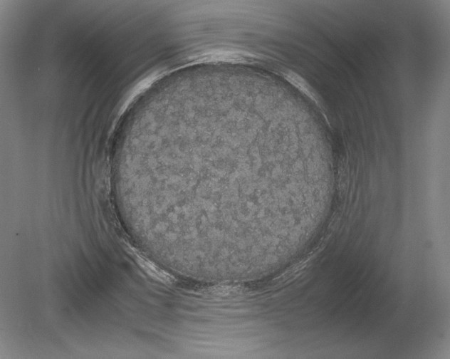 X0000080731067200701021114