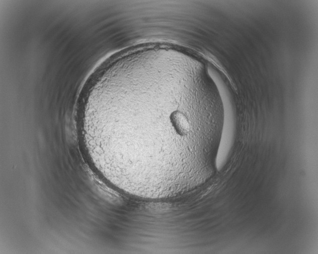 X0000080731068200701021114