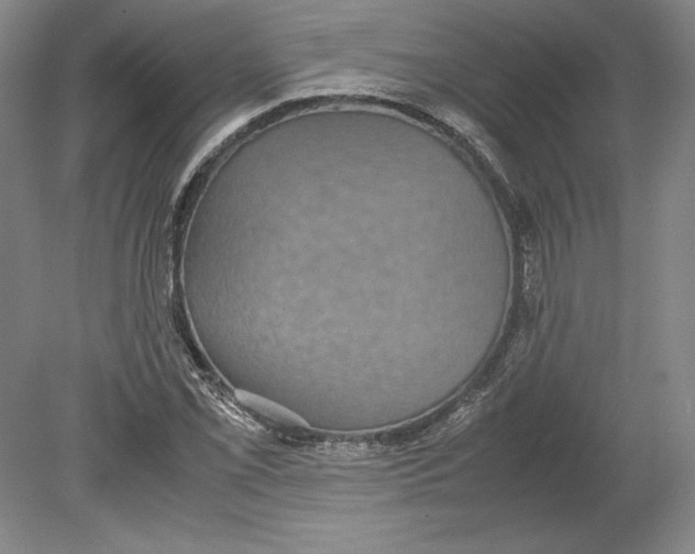 X0000080731069200701021114