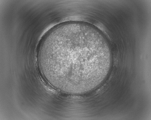 X0000080731070200701021114