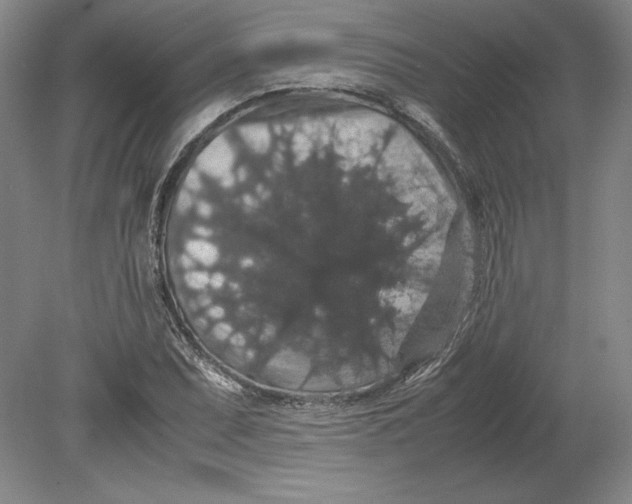 X0000080731071200701021114