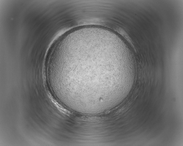 X0000080731072200701021114