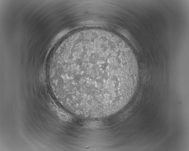 X0000080731074200701021114