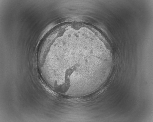 X0000080731075200701021114