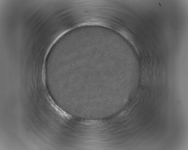 X0000080731076200701021114