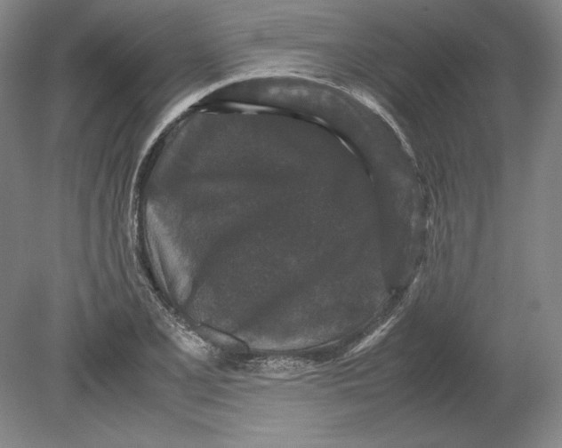 X0000080731077200701021114