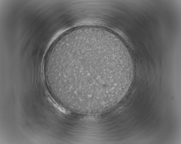 X0000080731078200701021114