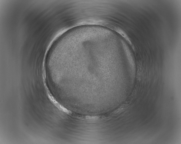 X0000080731080200701021114