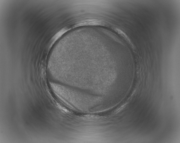 X0000080731081200701021114